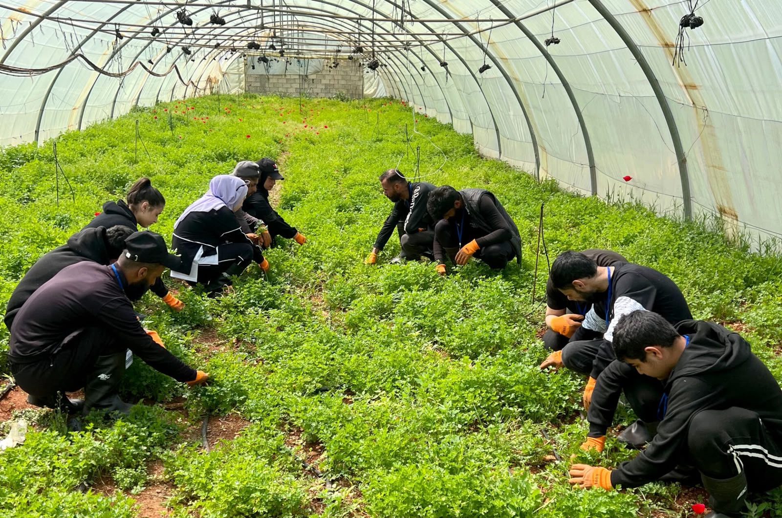 Agriculture and sustainable farming